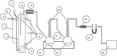 The Evaluation on Three Types of Malaysian Dolomites as a Primary Catalyst in Gasification Reaction of EFB and Tar Cracking Efficiency